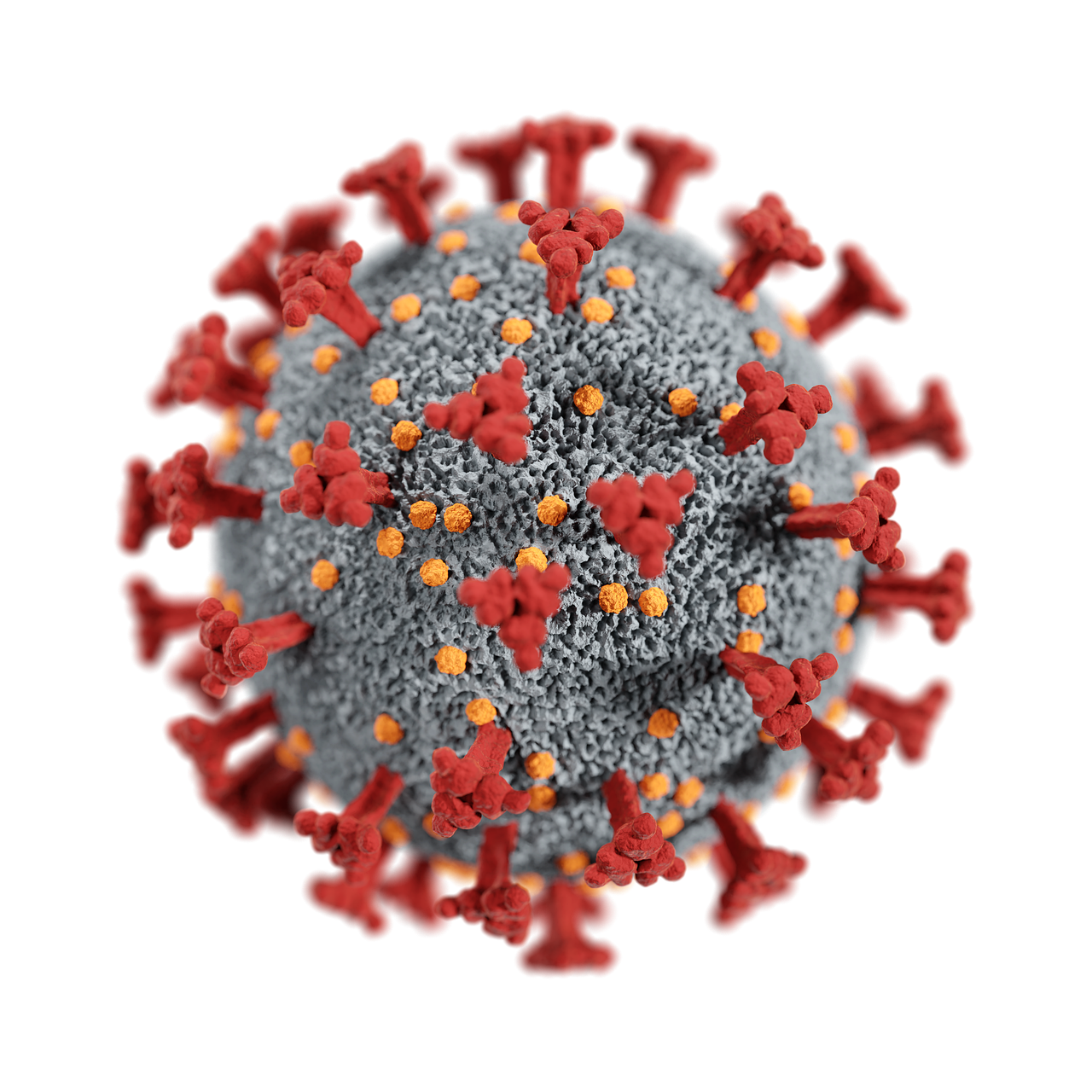 covid-19, coronavirus, virus-6627313.jpg